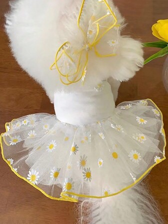 1件小狗和貓用的薄型寵物網狀裙,如波美瑞犬、比熊、泰迪犬、約克夏犬、鬍子犬等,夏季必備