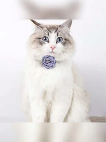 时尚仿山茶花猫项圈 | 纯色猫吊坠精致配饰 | 新潮流宠物项圈 - 灰色 - 查看 4