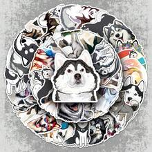 50pcs Alaska Graffiti Stickers, Personalized Cartoon Cute Dogs Decoration, Waterproof Stickers For Computers And Phones - 50 Alaska - 1187 - View 1