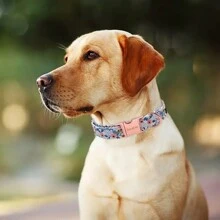 Elegante floral Conjunto de 4 piezas de collar para mascotas - Pajarita y adornos florales - Ajustable y cómodo para mascotas con estilo