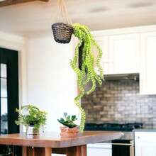 Artificial Plants - 綠色 - 查看 2