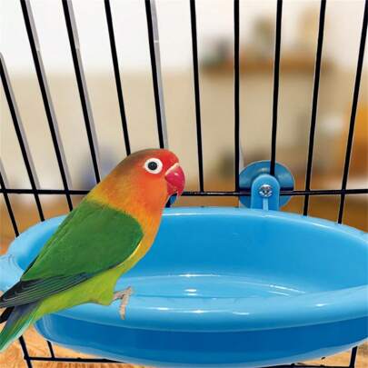 Easy-Clean Bird Bath Tub - Durable Pp Material With A Mirror, Perfect For Cage Hanging & Small Birds