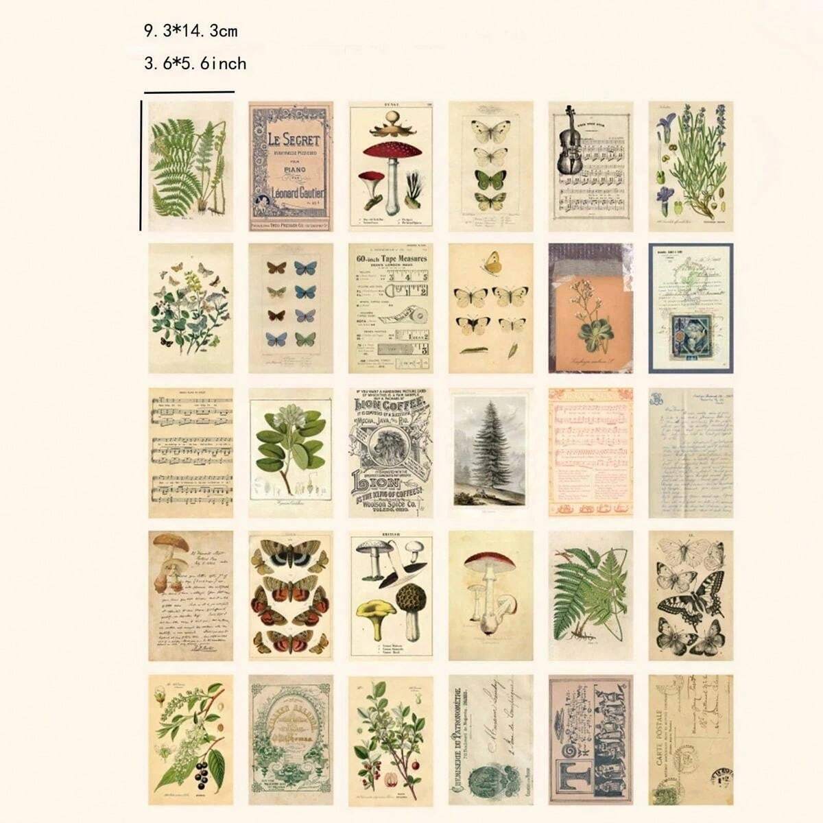 30-pieces-of-various-kinds-of-vintage-ancient-forest-animals-and-plants