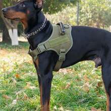 Nuevo arnés de pecho y espalda de alta calidad con correa de tracción para perros mascotas en estilo de chaleco con correa táctica para caminar, adecuado para perros medianos y grandes - Verde militar - Ver 11