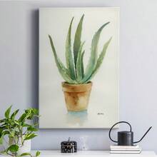 Succulent IV Premium Gallery Wrapped Canvas - Ready To Hang - 18X27INCH - Xem 7