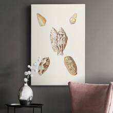 Pastel Knorr Shells VI Premium Gallery Wrapped Canvas - Ready To Hang