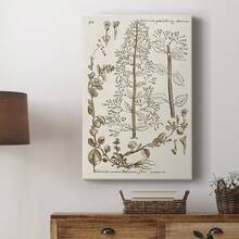 Sepia Botanical Journal V Premium Gallery Wrapped Canvas - Ready To Hang - 12X18INCH - View 4