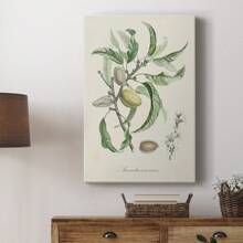 Antique Almond Botanical IV Premium Gallery Wrapped Canvas - Ready To Hang - 24X36英寸 - 查看 4