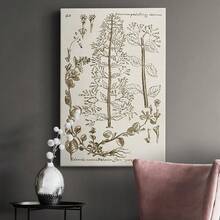 Sepia Botanical Journal V Premium Gallery Wrapped Canvas - Ready To Hang - 12X18INCH - View 10