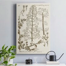 Sepia Botanical Journal V Premium Gallery Wrapped Canvas - Ready To Hang - 12X18INCH - View 8