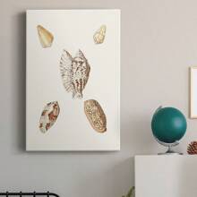 Pastel Knorr Shells VI Premium Gallery Wrapped Canvas - Ready To Hang