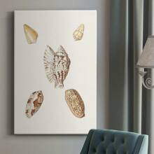 Pastel Knorr Shells VI Premium Gallery Wrapped Canvas - Ready To Hang