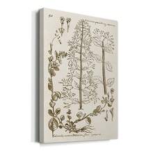 Sepia Botanical Journal V Premium Gallery Wrapped Canvas - Ready To Hang - 12X18INCH - View 3