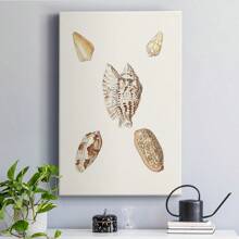 Pastel Knorr Shells VI Premium Gallery Wrapped Canvas - Ready To Hang