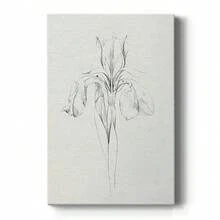 Neutral Iris Sketch I Premium Gallery Wrapped Canvas - Ready To Hang