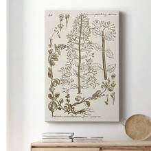 Sepia Botanical Journal V Premium Gallery Wrapped Canvas - Ready To Hang - 12X18INCH - View 5