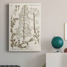 Sepia Botanical Journal V Premium Gallery Wrapped Canvas - Ready To Hang - 12X18INCH - View 6