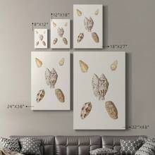 Pastel Knorr Shells VI Premium Gallery Wrapped Canvas - Ready To Hang
