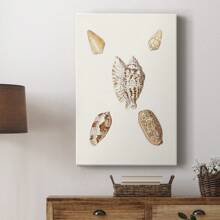 Pastel Knorr Shells VI Premium Gallery Wrapped Canvas - Ready To Hang