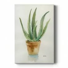 Succulent IV Premium Gallery Wrapped Canvas - Ready To Hang - 18X27INCH - Xem 11