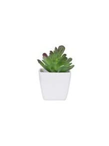1pc Artificial Plant Potted/6pcs Potted Plant Set, Suitable For Home, Porch, Bedroom, Bathroom, Bookshelf, Windowsill, Mini & Cute, Ideal For Party Decor, Aesthetic Decor, Valentine's Day, Gift, Birthday, Graduation, Back To School, Room Decor, Study Supplies