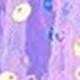 Mauve Purple
