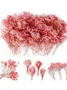 50 Mini Pink Dried Baby's Breath Flowers, 1000+ Natural Gypsophila, Dry Flowers Bulk For Vase Resin Nails, Art Crafts DIY Pressed Flower Making, Valentine's Day Decor, Room Party Table Wedding Gifts A Bouquet Of 10 Flowers, Valentine Day, Gift - Multicolor - View 11