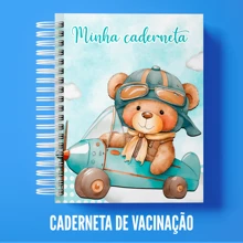 Ursinho aviador