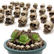 10pcs Mini Skull Figurines Halloween Skeleton Head Miniature Skulls Plastics Micro Landscape Figure Little Plastic Skulls Cake Topper Decoration For Scary Halloween Party Bar Table Vase Filler Home Decor Halloween Decor Room Decor - Multicolor - View 5