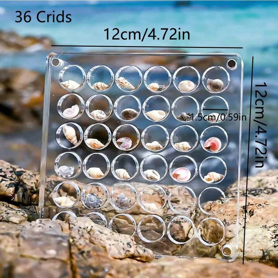 Pudełko z akrylową magnetyczną muszlą, muszle o wysokiej przezroczystości, biżuteria, pudełko do przechowywania biżuterii do paznokci, gablota z okazami kwiatów i traw, siatki 36/64/100 Małe pudełko do przechowywania rękodzieła (36 siatek)