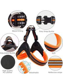 包括牵引绳、适合中型和大型犬的透气反光背带，简单耐用 - 橘色 - 查看 4