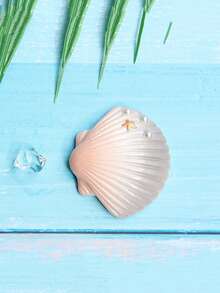 4入組海洋海星貝殼裝飾，漸層貝殼樹脂雕塑藝術品，適用於架子家居客廳辦公室咖啡館裝飾，房間桌面展示入口裝飾 - 四件裝 - 查看 13