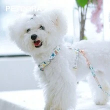 PETDORA Soft & Adjustable Pet Harness & Leash Set, Suitable For Small Dogs & Cats - Blue and White - View 6