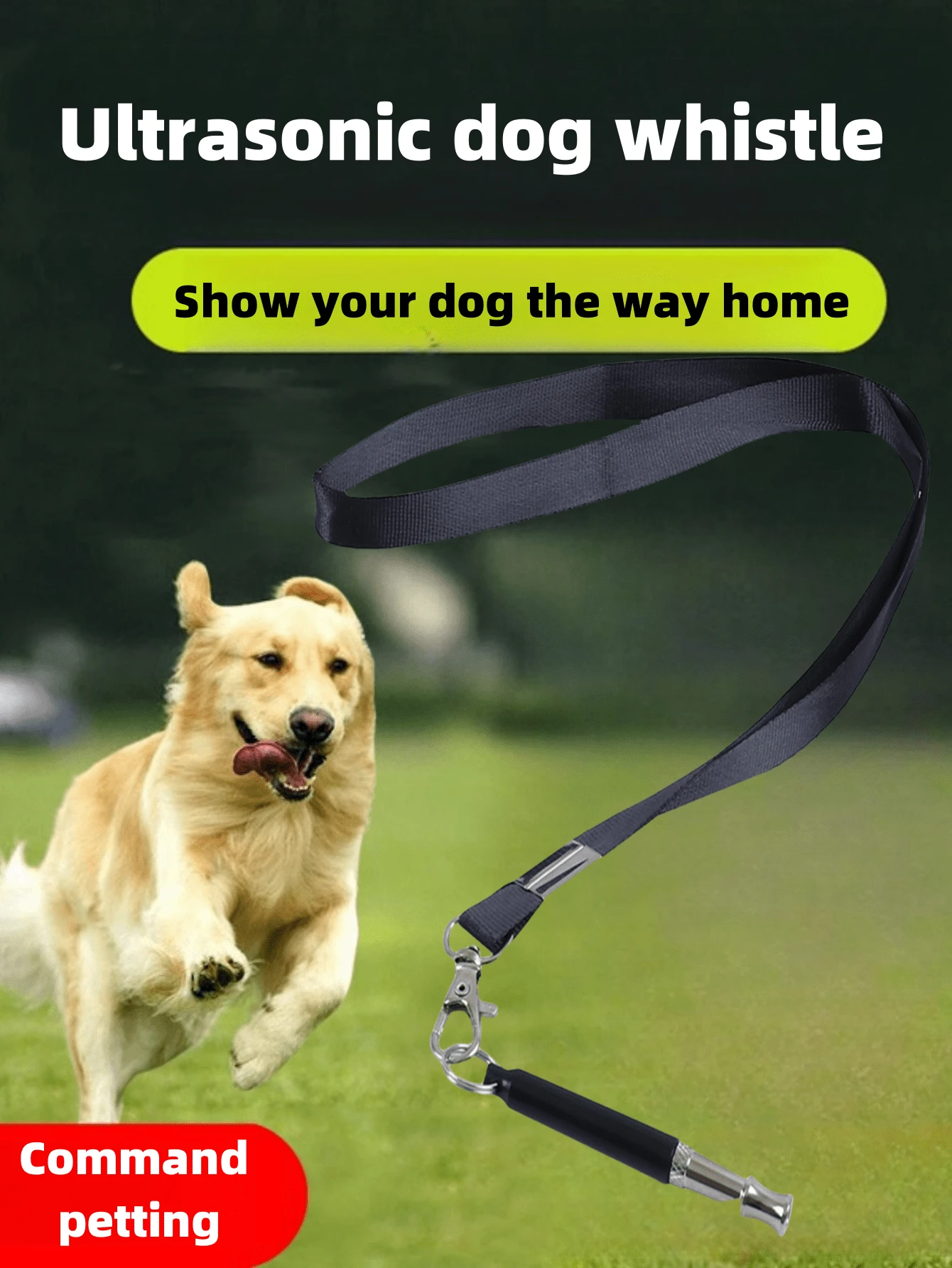 Dog Training Bloodhound Deer Tracking Dogs Bloodhounds Hounds