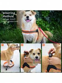 包括牵引绳、适合中型和大型犬的透气反光背带，简单耐用 - 橘色 - 查看 3