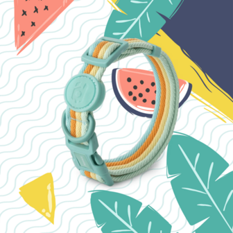 Pet Collar And Leash, Cute Summer Style Soft Material, Strong , Suitable For Medium And Small Dogs