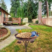 1 件花园金属鸟浴盆，12 英寸鸟浴盆，带 5 个底座，户外复古鸟浴盆，铸铁鸟浴盆，立式喂鸟器 - 彩色 - 查看 9