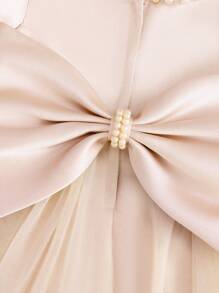 Baby Girl Champagne Butterfly Decorated Birthday Party One-Year-Old Tulle Dress - Champagne - View 6