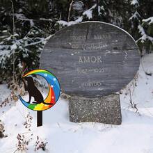 1入組寵物狗紀念墓碑金屬墓誌碑釘式花園紀念牌，適用於墓地、花園、戶外裝飾 - 彩色 - 查看 8