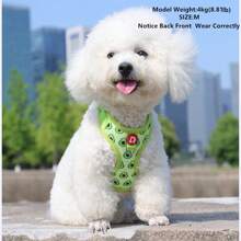 Lindo conjunto de arnés y correa para mascotas, correa para caminar al aire libre para perros pequeños, correa anti-escape para gatos, chaleco ajustable para gatos