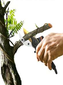 1 件专业钛旁路修枝剪 - 超级锋利优质园艺剪、园艺用修枝剪、园艺用树木修剪器、园艺剪刀、重型手动修枝剪、园林工具、园艺工具 - 彩色 - 查看 5