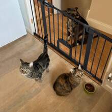 Baby Gate With Adjustable Cat Door, 30 Inch Height Easy Install Pressure/Hardware Mounted Dog Gates For The House, Auto Close Pet Gate For Stairs - 黑色 - 查看 6