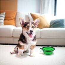 便攜式戶外寵物矽膠折疊碗,適用於狗和貓,防溢出,飼料器,飲水機 - 綠色 - 查看 1
