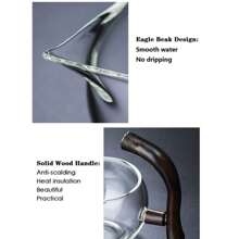 FIRE KIRIN 懒人功夫磁力玻璃茶壶带旋转盖半自动