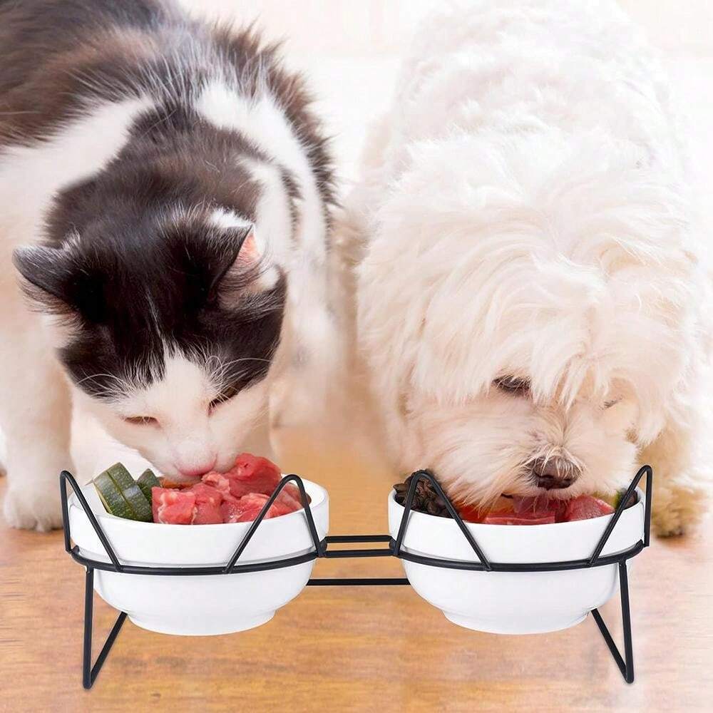 Cat Bowls, Double Ceramic Pet Bowls With 15°Tilted Raised Stand For