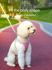 1入犬用背心式牽繩中小型犬種，如柯基、法國鬥牛犬和柴犬，可調整胸部和背部帶式犬用項圈