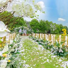 1200片玫瑰花瓣，4.5cm人造玫瑰花瓣，婚禮生日情人節告白浪漫之夜派對周年慶祝裝飾用假絲綢玫瑰花瓣 - Milky white - 查看 4