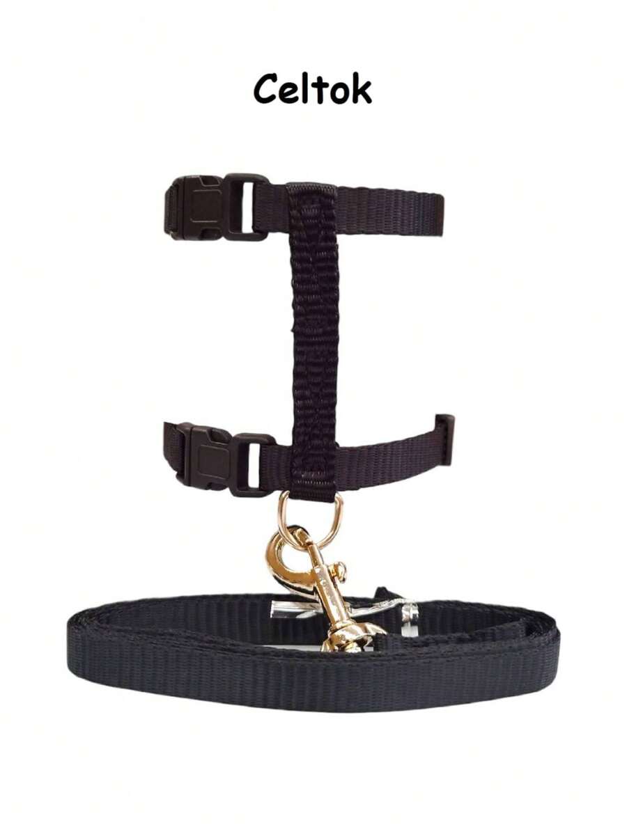 Pet Collars, Leashes & Harnesses Sets