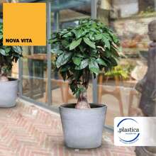Interior Flower Pots & Planters - 彩色 - 查看 4