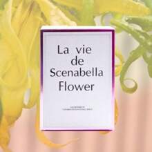 Perfume Mujer La Vida es Bella, Fragancia Elegante, Romántica y Sofisticada de Larga Duración - Rosa Fucsia - Ver 4